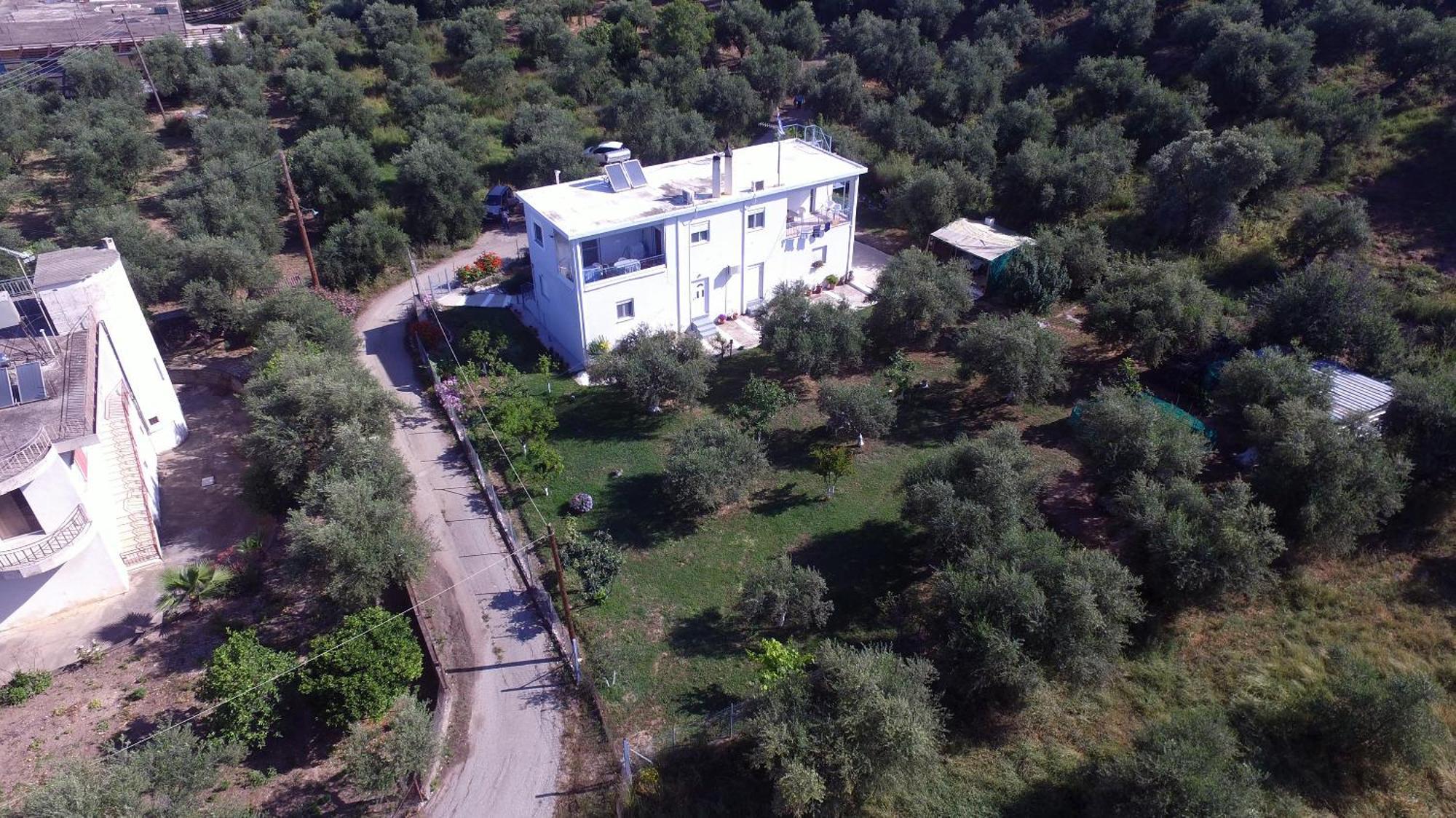 Mina Apartments Zacharo Buitenkant foto
